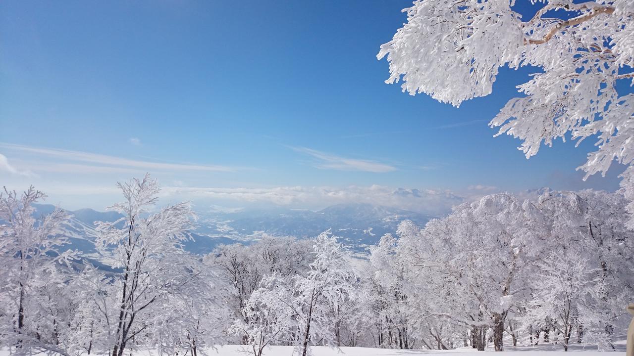 Nozawa Dream Hotel Exterior foto