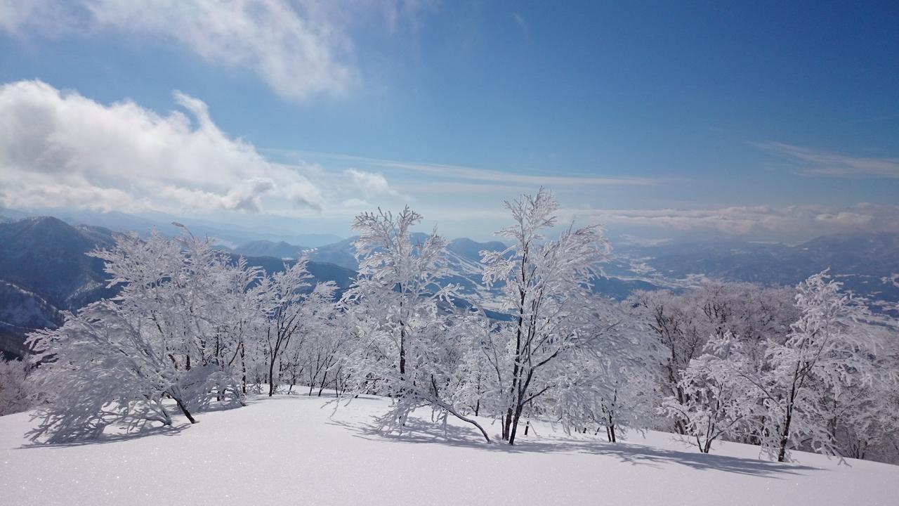 Nozawa Dream Hotel Exterior foto