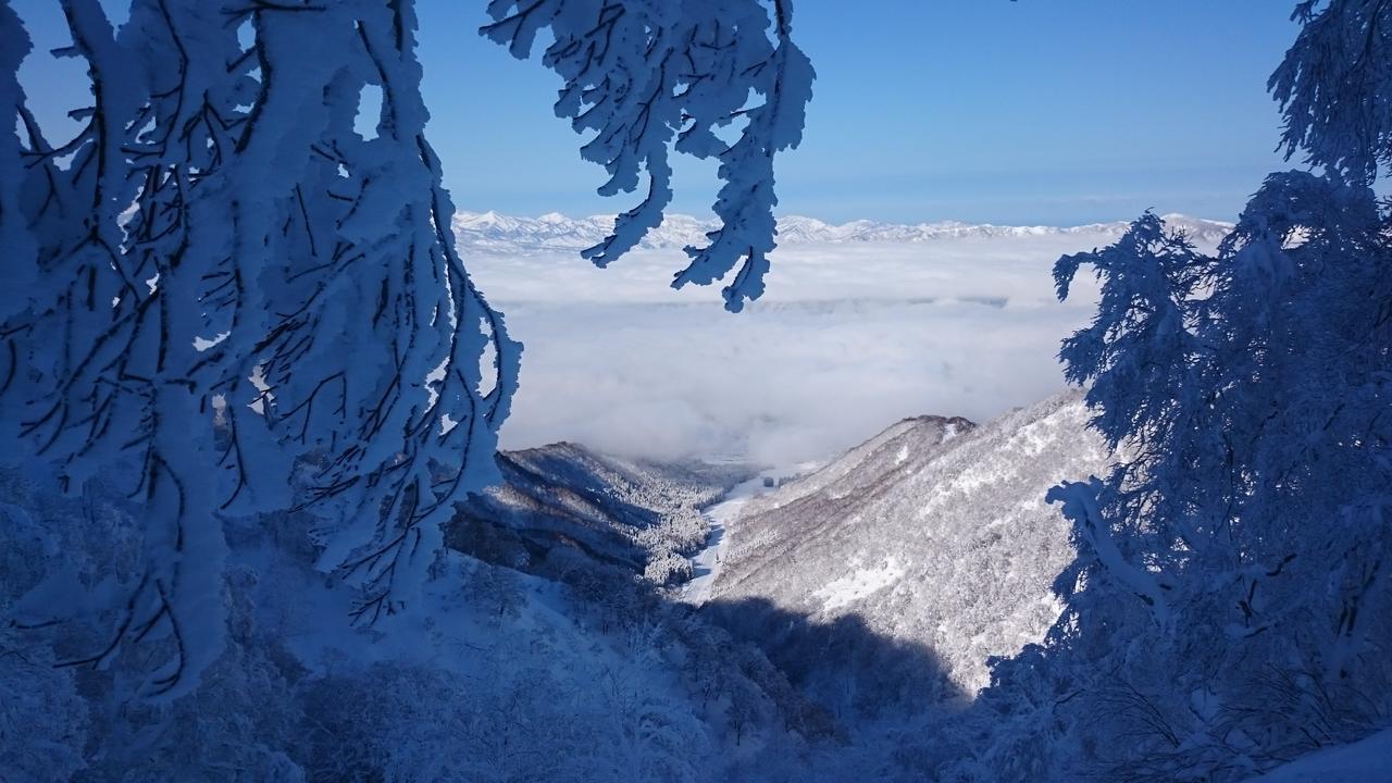 Nozawa Dream Hotel Exterior foto